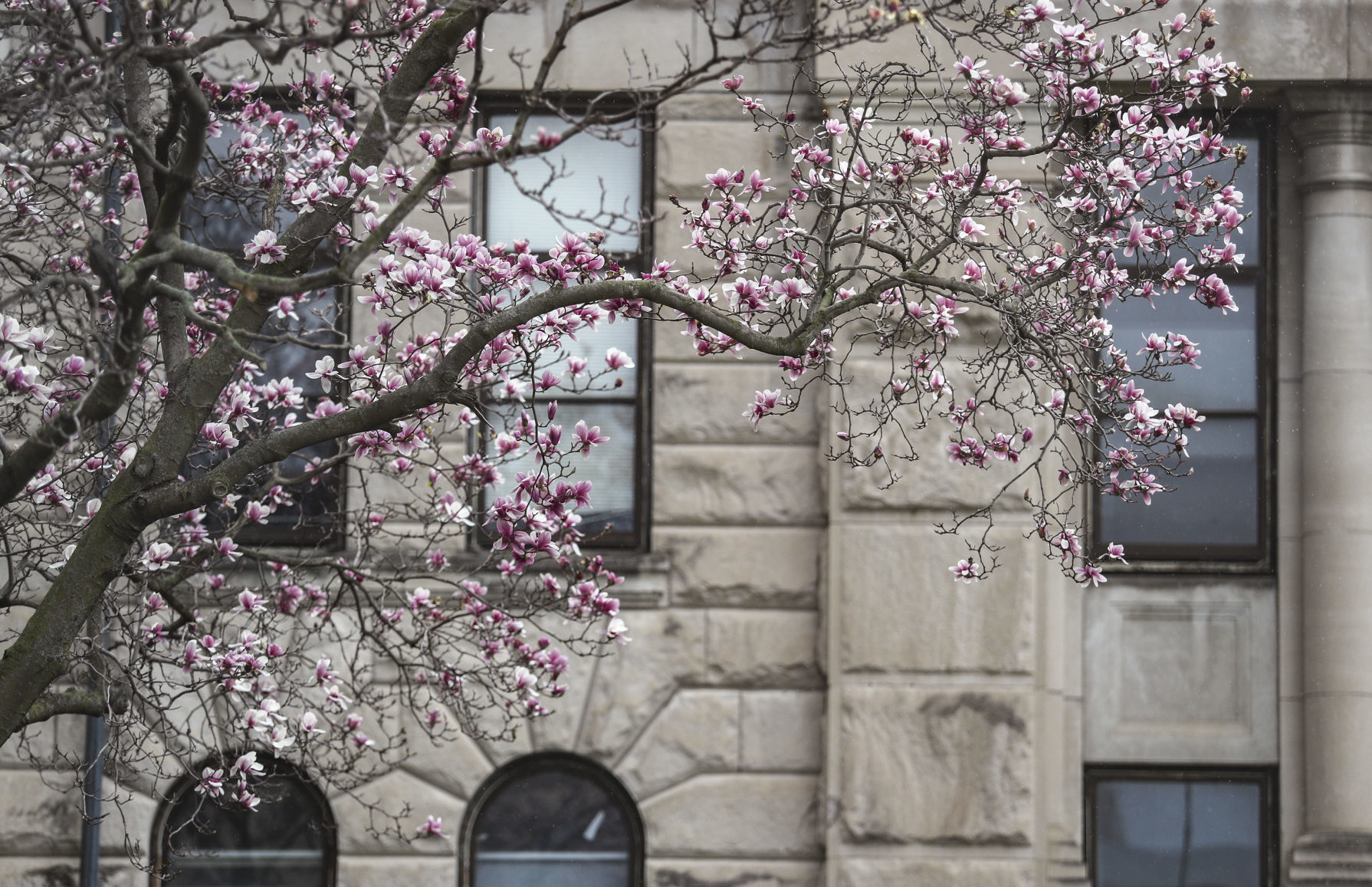 042219-mda-nws-courthouse-002